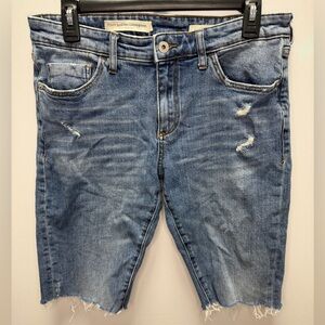 Pilcro by Anthropologie Slim Boyfriend Cutoff Distressed Denim Bermuda Shorts 29